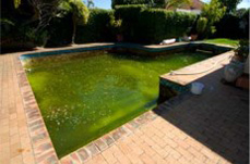 oasis-swimming-pool-refurbishment-before